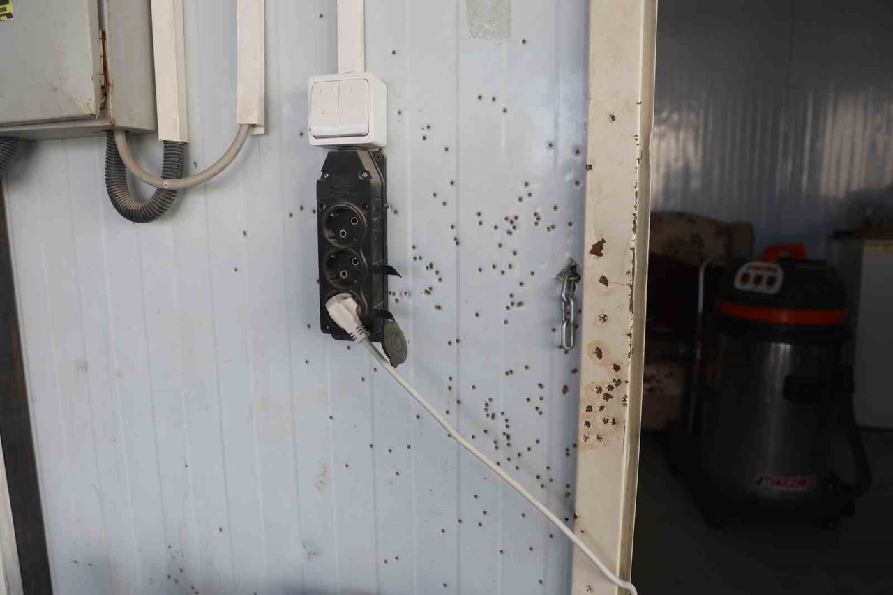 HATAY’IN ANTAKYA İLÇESİNDE MUSTAFA KORKMAZ’A AİT OTO YIKAMA İŞYERİ, KİMLİĞİ BELİRLENEMEYEN 2 ŞAHIS...