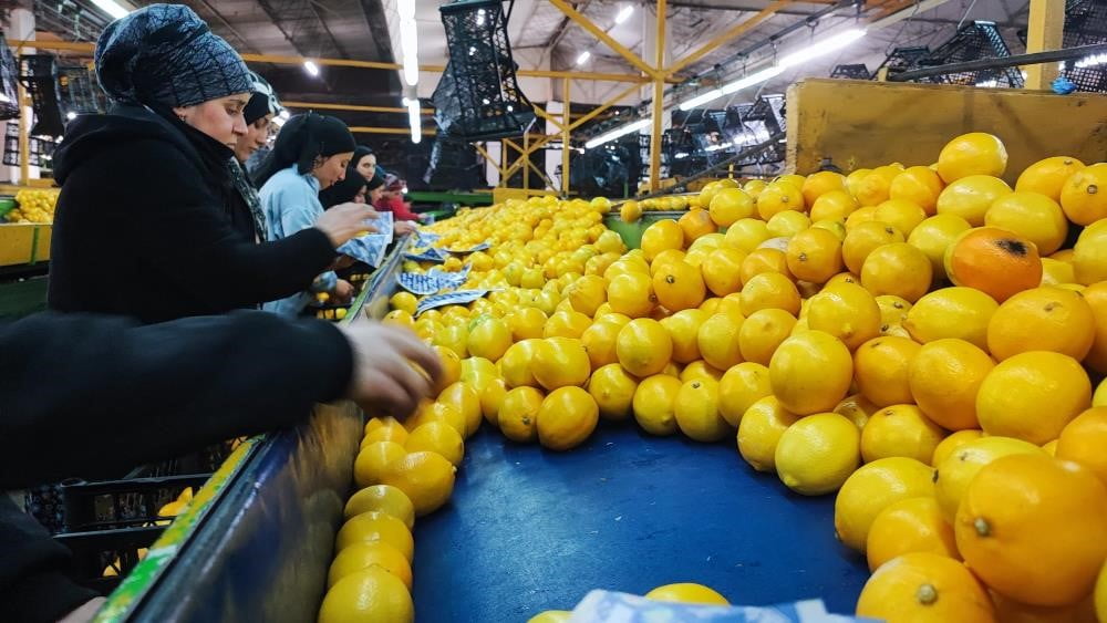 HAVALARIN SOĞUMASIYLA GRİP VAKALARINDA ARTIŞ YAŞANIRKEN, DÜZENLİ VE SAĞLIKLI BESLENMEK, C VİTAMİNİ...