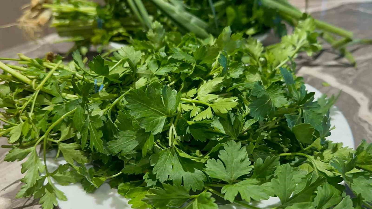 HAVALARIN SOĞUMASIYLA GRİP VAKALARINDA ARTIŞ YAŞANIRKEN, DÜZENLİ VE SAĞLIKLI BESLENMEK, C VİTAMİNİ...