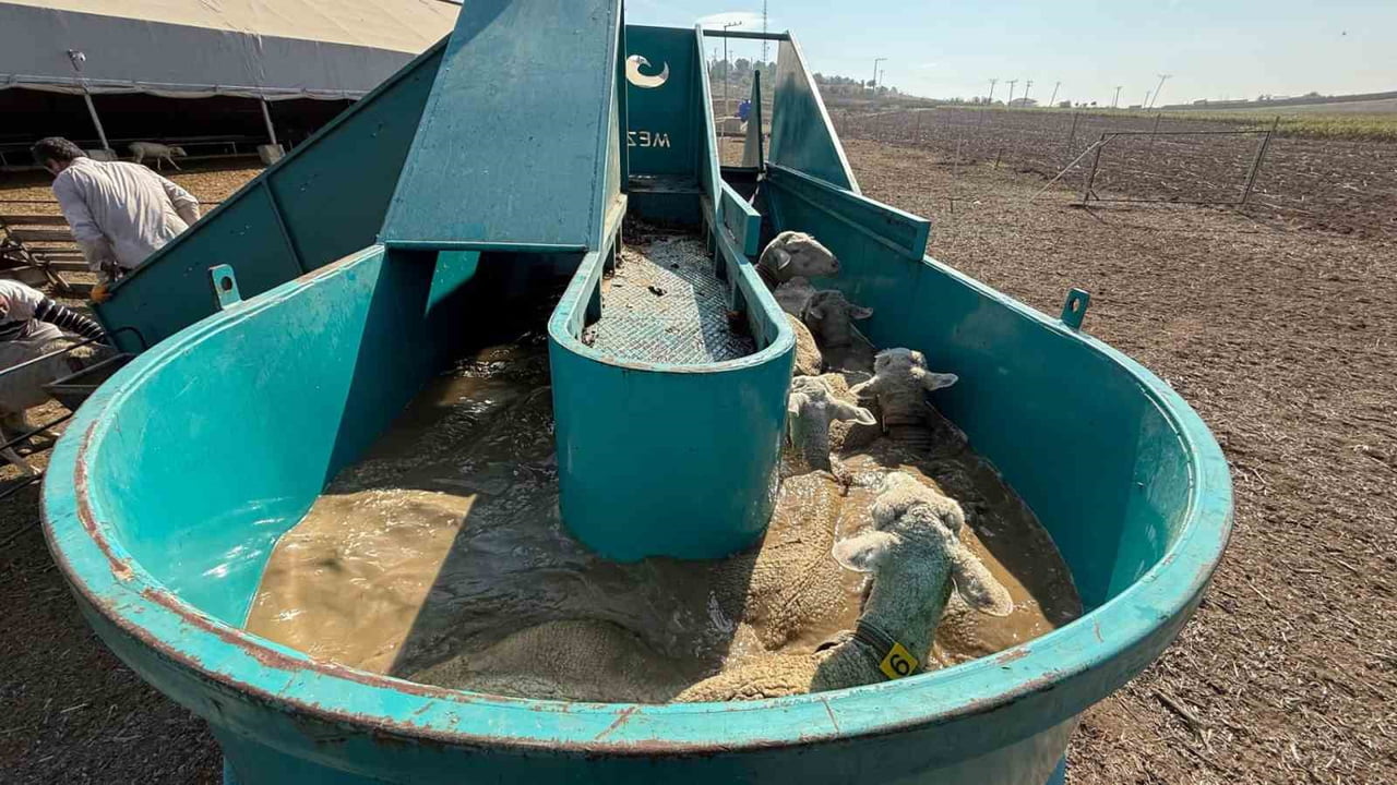 İNEGÖL BELEDİYESİ, TARIMI GÜÇLENDİRMEK VE ÜRETİCİYİ DESTEKLEMEK ADINA UYGULADIĞI POLİTİKALARLA...