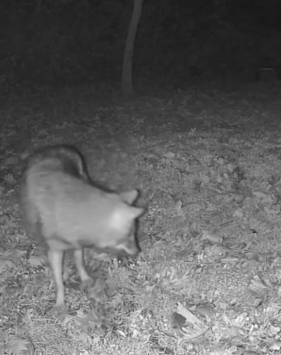 İSTANBUL'UN ÇATALCA İLÇESİNDE BULUNAN TERKOS GÖLÜ KIYISINDA KARAVAN KAMPI YAPAN BİR DOĞA...