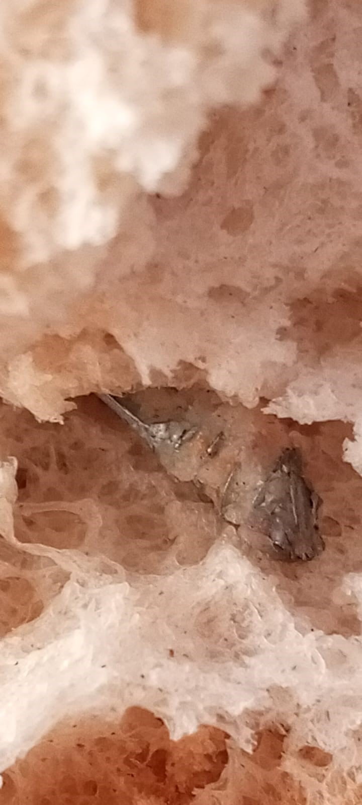 İZMİR'DE BİR FIRINDAN ALINAN EKMEĞİN İÇİNDEN VİDA ÇIKTI.