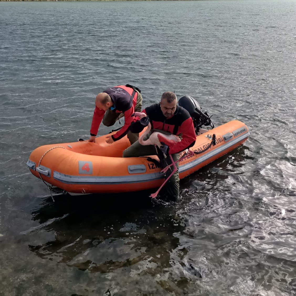 İZMİR BÜYÜKŞEHİR BELEDİYESİ İTFAİYE DAİRESİ BAŞKANLIĞI EKİPLERİ, DOĞAL YAŞAMIN KORUNMASINA YÖNELİK...