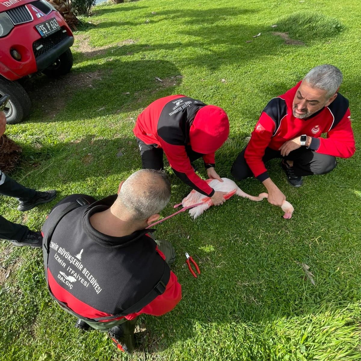 İZMİR BÜYÜKŞEHİR BELEDİYESİ İTFAİYE DAİRESİ BAŞKANLIĞI EKİPLERİ, DOĞAL YAŞAMIN KORUNMASINA YÖNELİK...