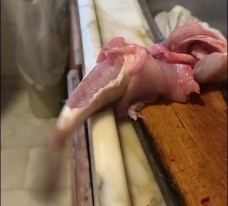 İZMİR’İN KARABURUN İLÇESİNDE TEMİZLENEREK İÇ ORGANLARI ALINAN TEPEGÖZ CİNSİ BALIK, TEZGAH ÜZERİNDE...