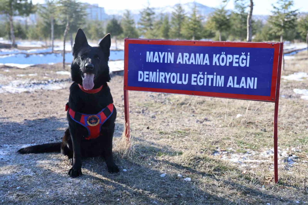 JANDARMA GENEL KOMUTANLIĞI BÜNYESİNDE FAALİYET GÖSTEREN JANDARMA AT VE KÖPEK EĞİTİM MERKEZİ...