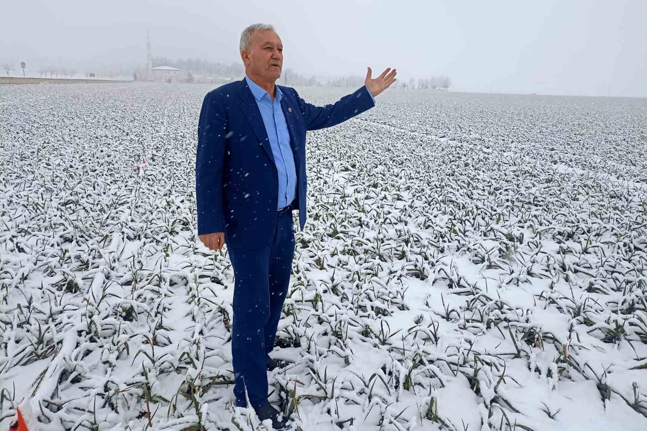 KAR YAĞIŞI, SARIMSAKTA YÜKSEK REKOLTE BEKLENTİSİNİ ARTIRDI