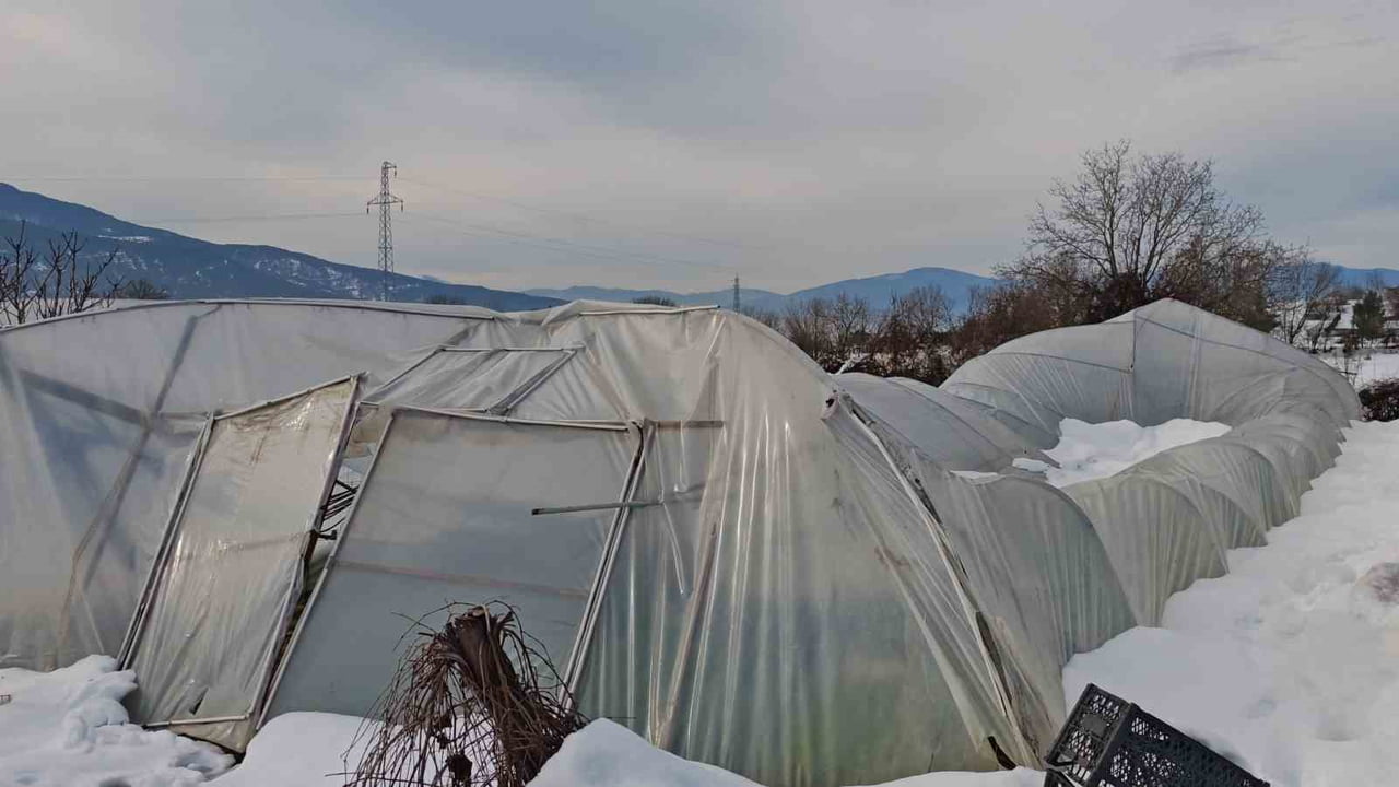 KARABÜK’ÜN SAFRANBOLU İLÇESİNDE ETKİLİ OLAN YOĞUN KAR YAĞIŞI, SERALARDA BÜYÜK ZARARA YOL...