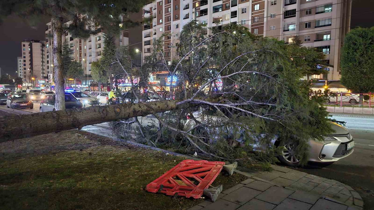 KAYSERİ'NİN TALAS İLÇESİNDE ŞİDDETLİ RÜZGARDAN DOLAYI ÜZERİNE AĞAÇ DEVRİLEN OTOMOBİLDE MADDİ HASAR...
