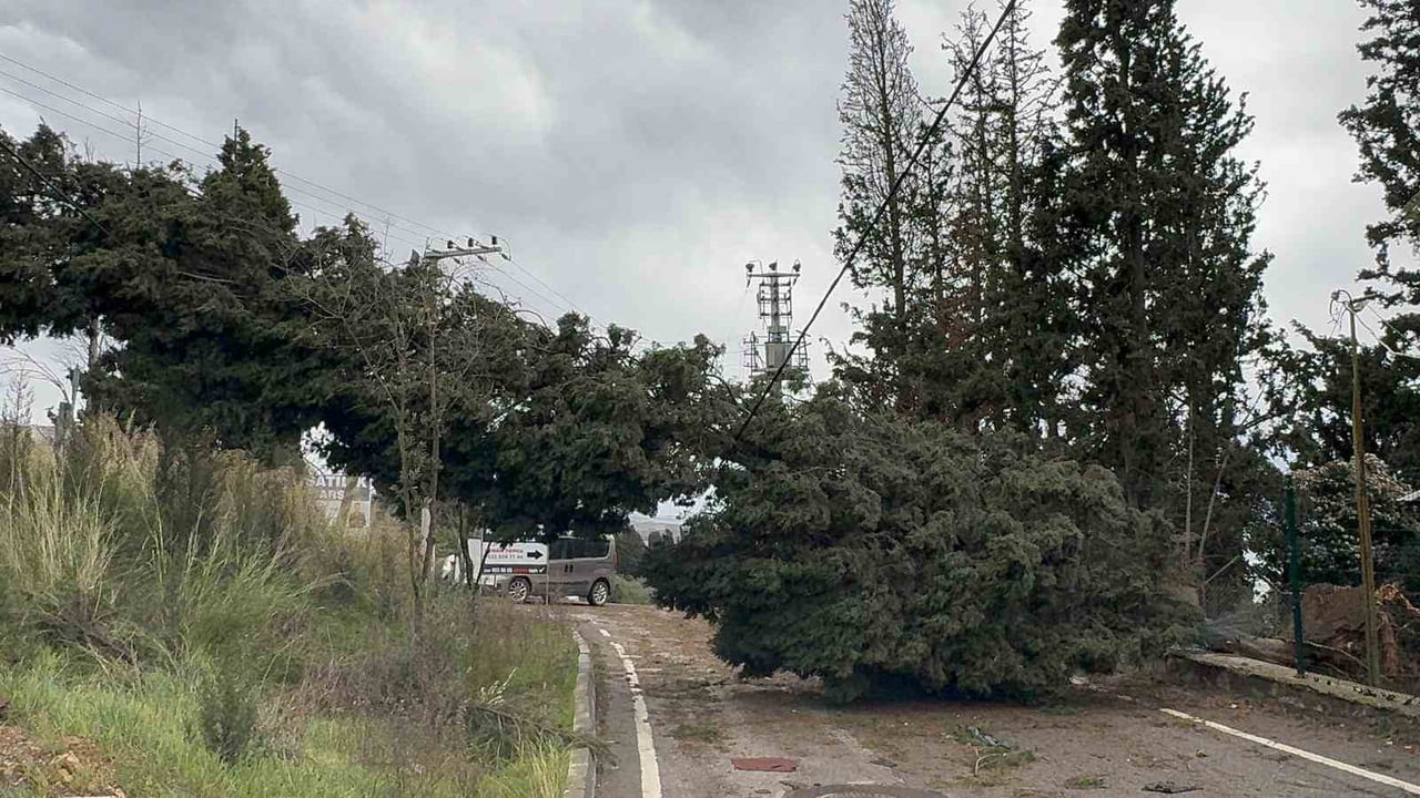 KENTTE BİNALARIN ÇATILARI UÇTU, AĞAÇLAR DEVRİLDİ