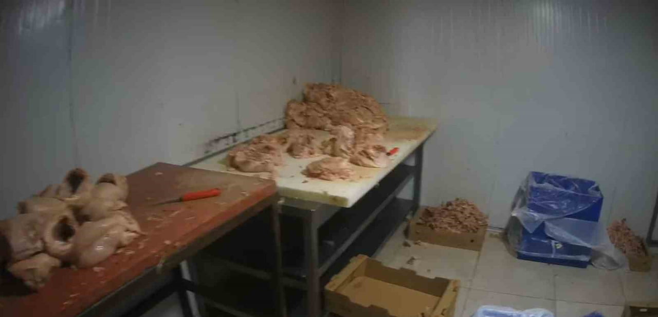 KOCAELİ'NİN ÇAYIROVA İLÇESİNDE RUHSATSIZ FAALİYET GÖSTEREN VE HİJYEN KURALLARINA UYMADIĞI...