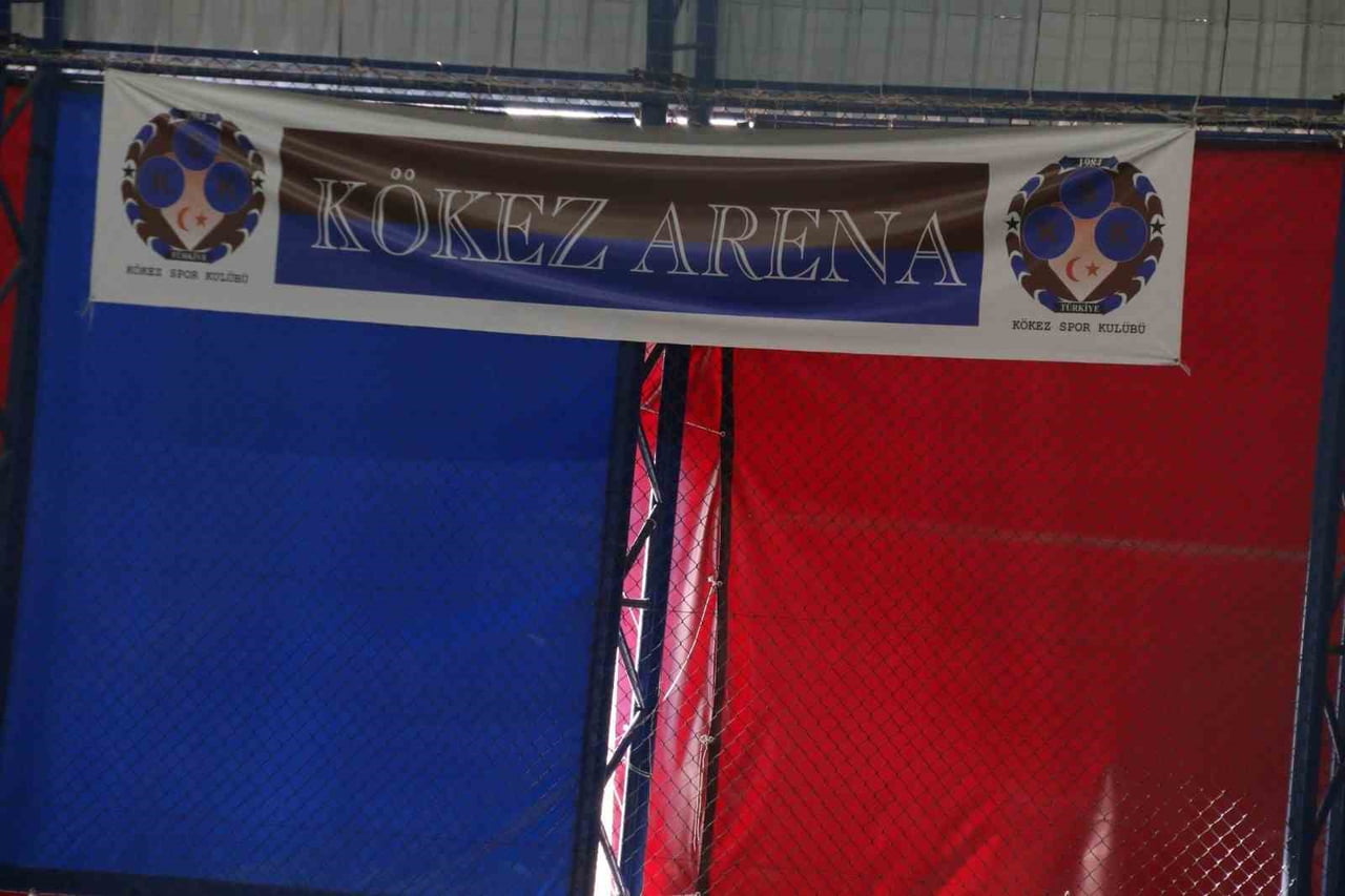 KÖYÜN DÖRT BİR YANI BORDO-MAVİ RENKLERLE SÜSLENİRKEN, KÖYDE YAŞAYAN VATANDAŞLARIN TAMAMINA YAKINI...