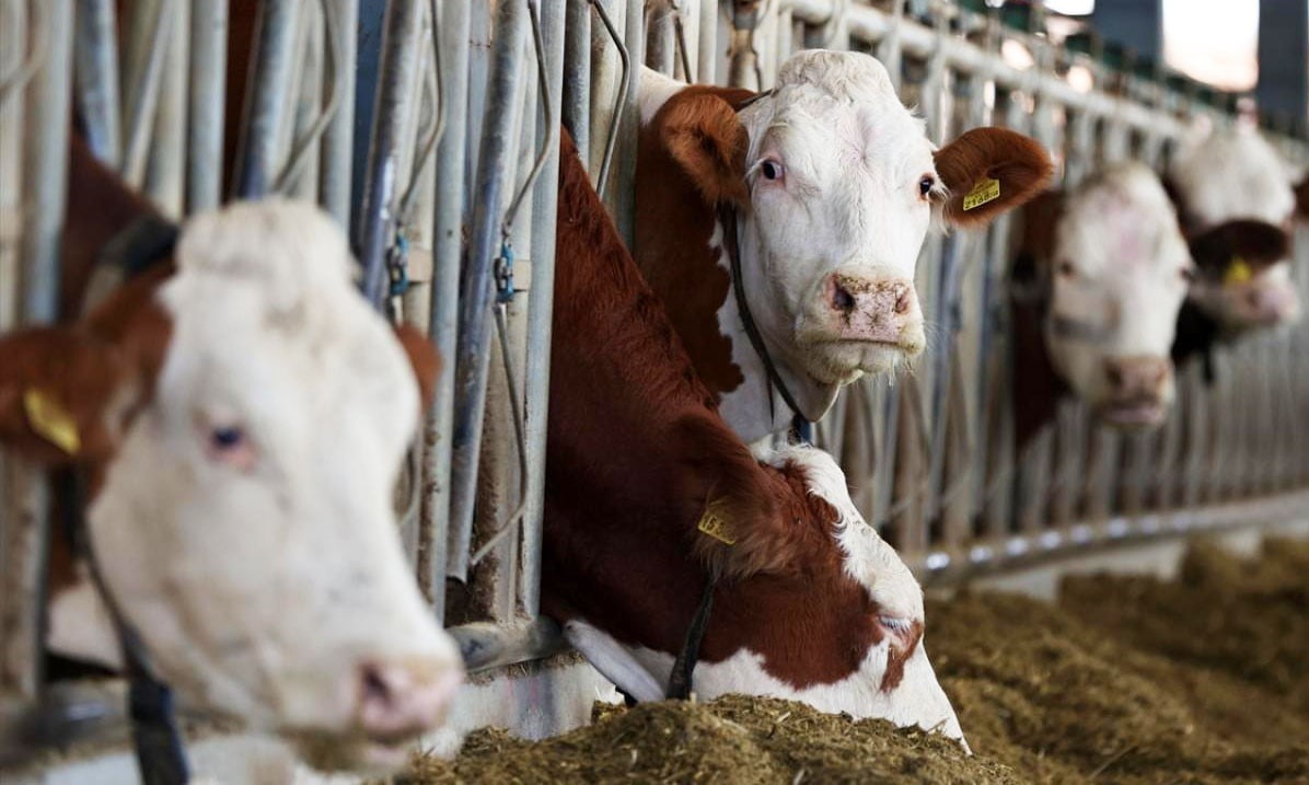 KUZEYDOĞU ANADOLU KALKINMA AJANSI (KUDAKA) TARAFINDAN DESTEKLENEN SOGEP KAPSAMINDA ERZİNCAN’DA...