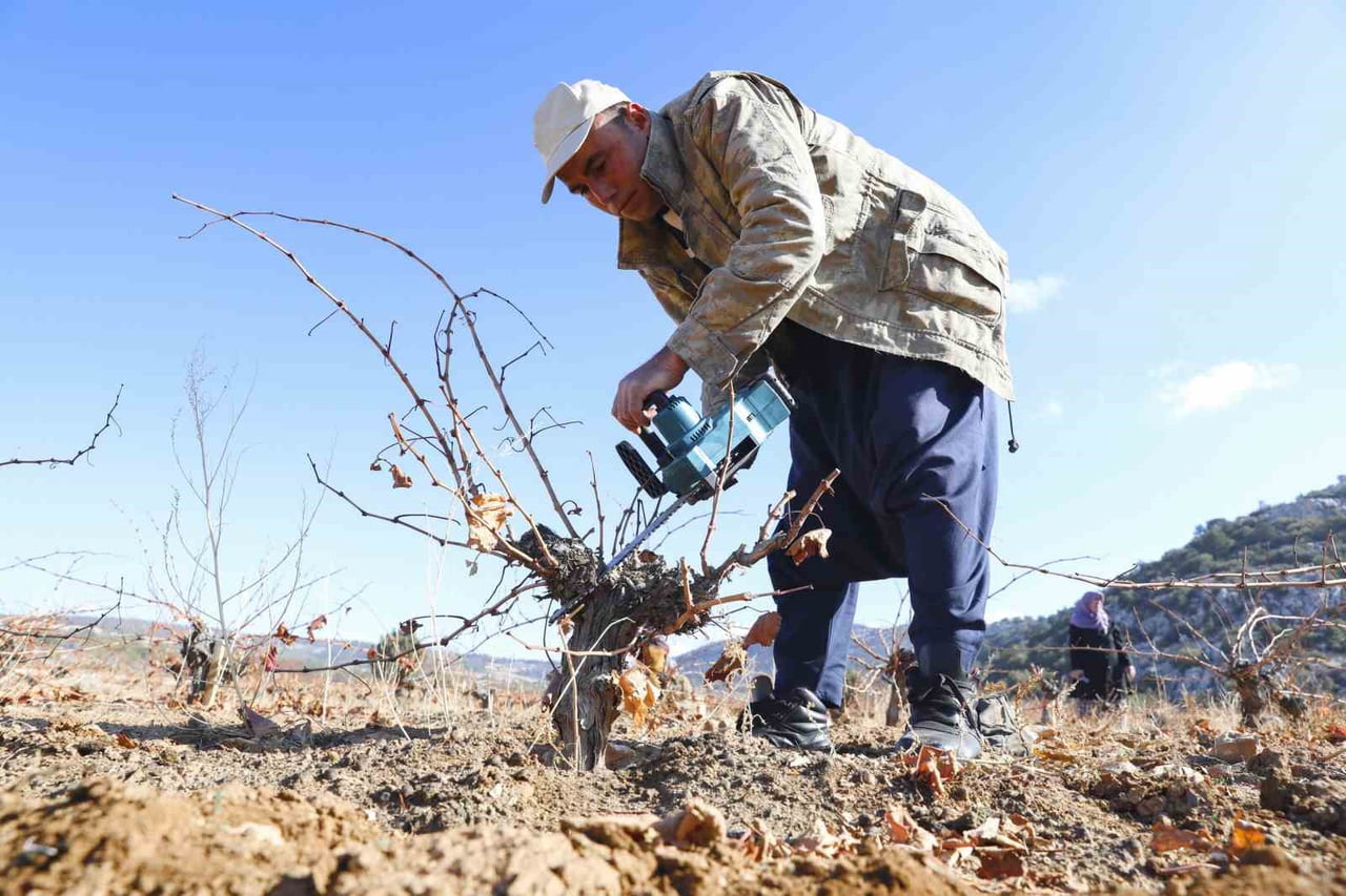 MERSİN BÜYÜKŞEHİR BELEDİYESİNİN SAĞLADIĞI ORGANİK TARIM SERTİFİKASYON DESTEĞİ SAYESİNDE ÜRETİCİLER...
