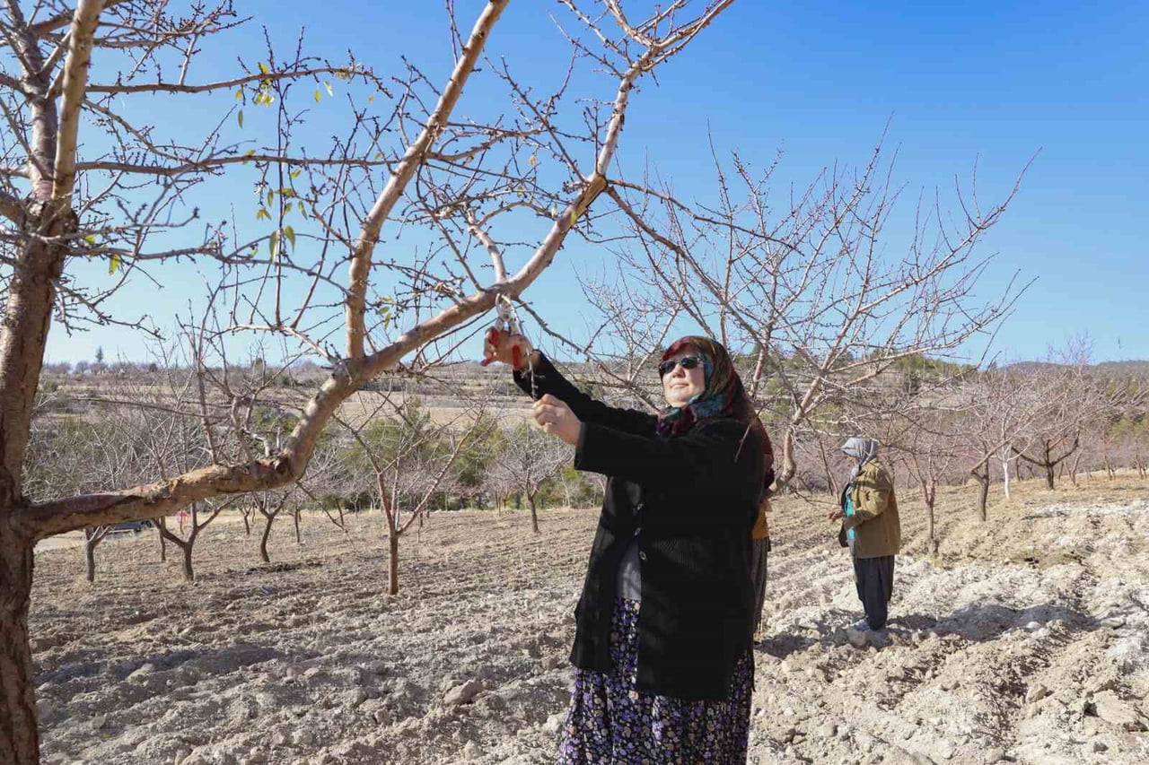 MERSİN BÜYÜKŞEHİR BELEDİYESİNİN SAĞLADIĞI ORGANİK TARIM SERTİFİKASYON DESTEĞİ SAYESİNDE ÜRETİCİLER...