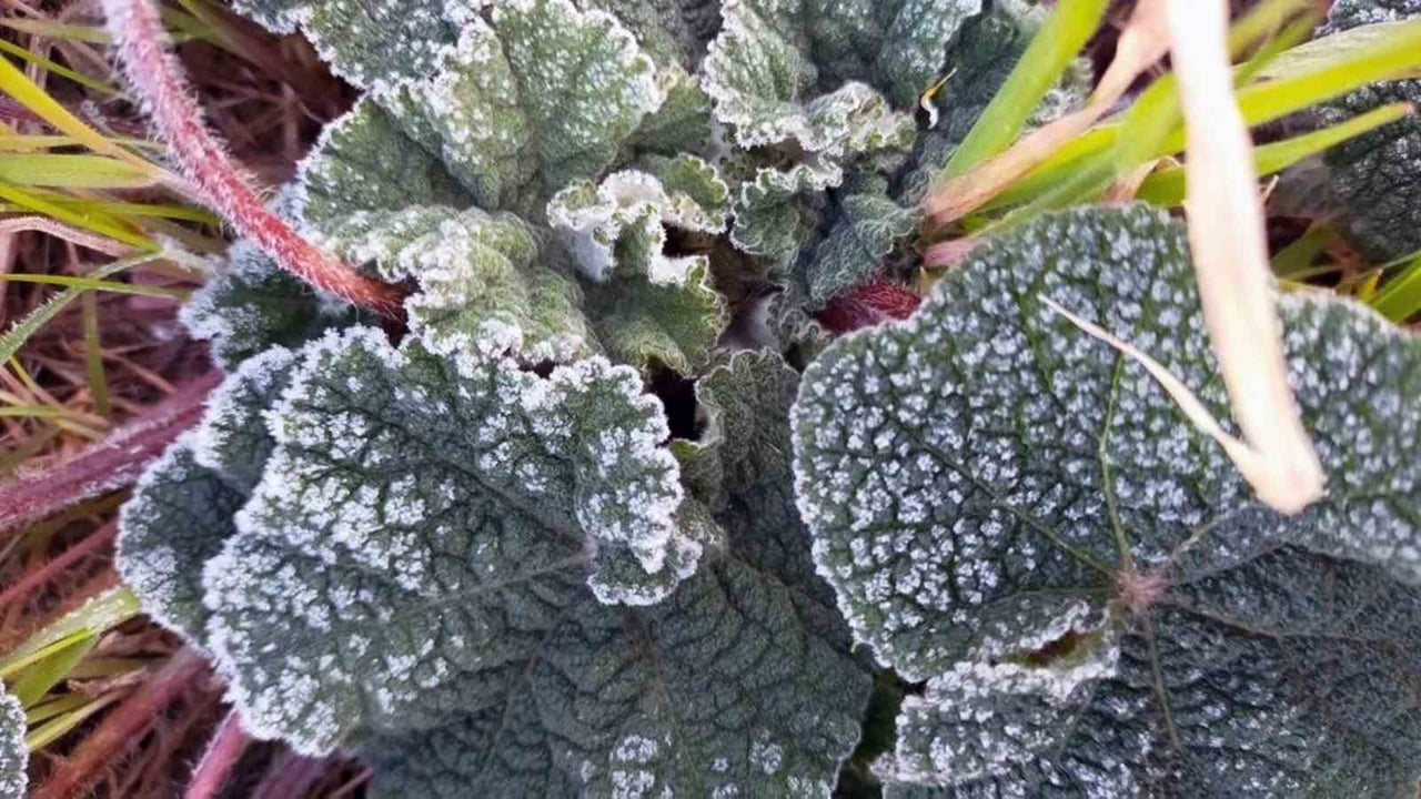 METEOROLOJİ GENEL MÜDÜRLÜĞÜ 4. BÖLGE MÜDÜRLÜĞÜ BÖLGE TAHMİN VE UYARI MERKEZİNDEN YAPILAN UYARIDA...