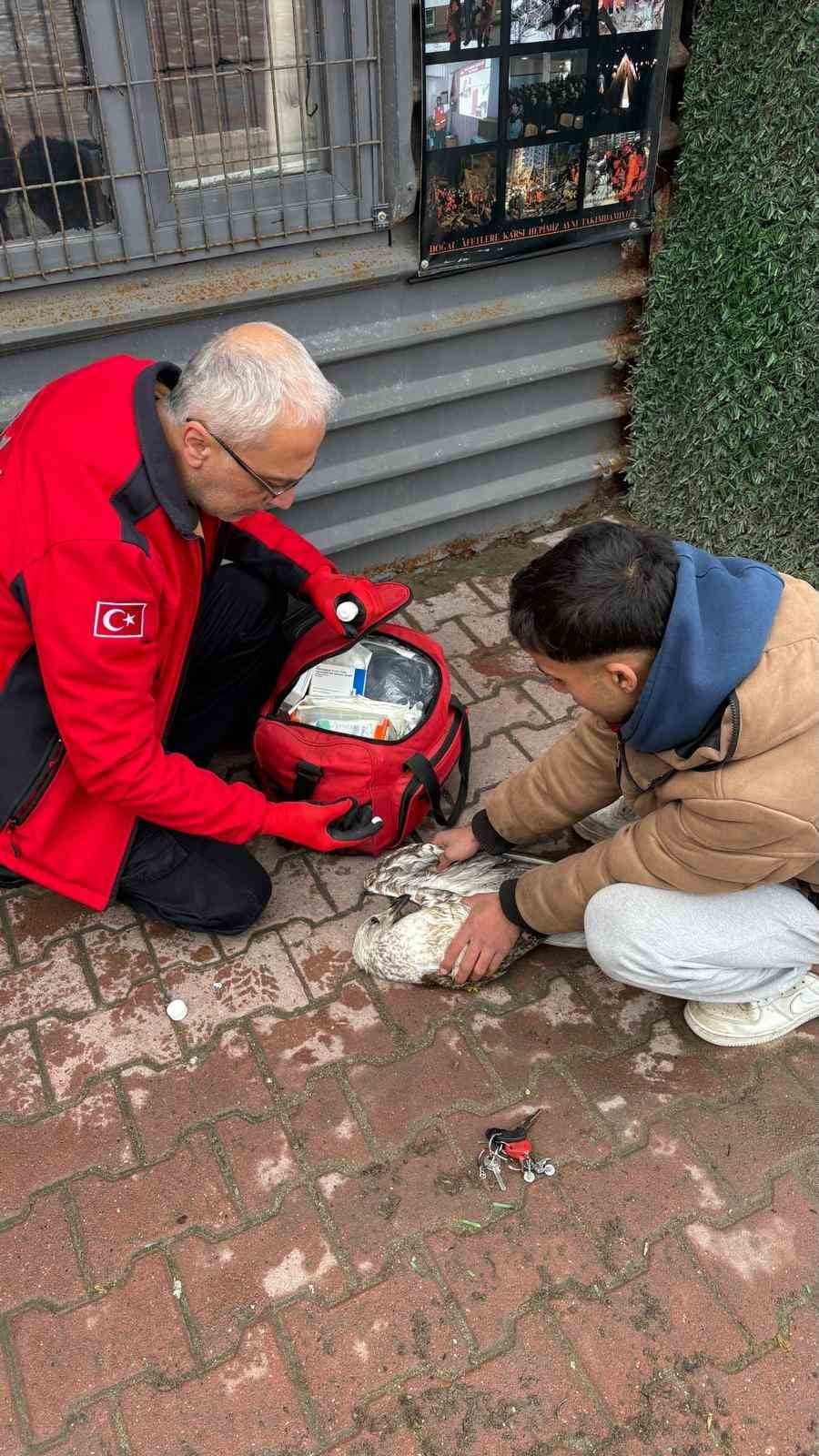 MUDANYA İLÇESİNDE DENİZDE BALIK TUTAN AMATÖR BİR BALIKÇININ OLTASINA TAKILAN MARTI, 911 ARAMA VE...