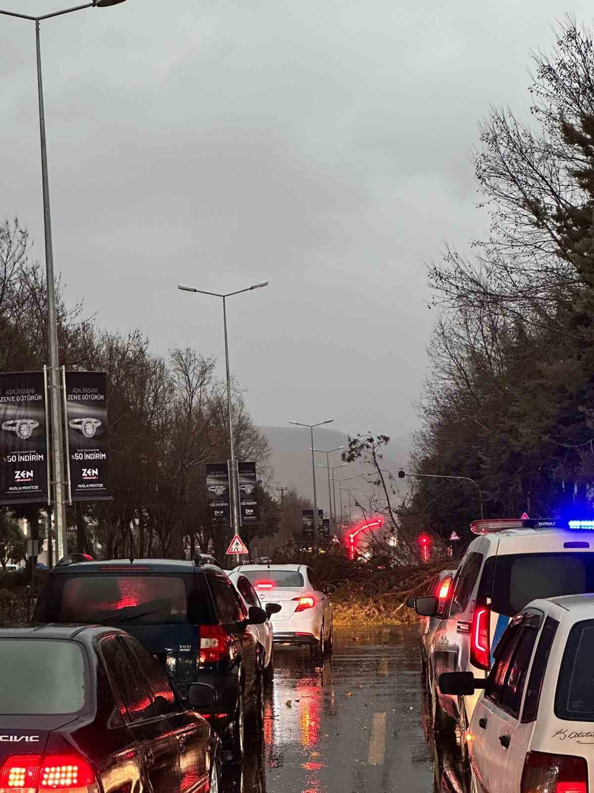 MUĞLA’NIN MENTEŞE İLÇESİ UĞUR MUMCU BULVARI’NDA FIRTINA NEDENİYLE DEVRİLEN AĞAÇ YOLU KAPATTI...