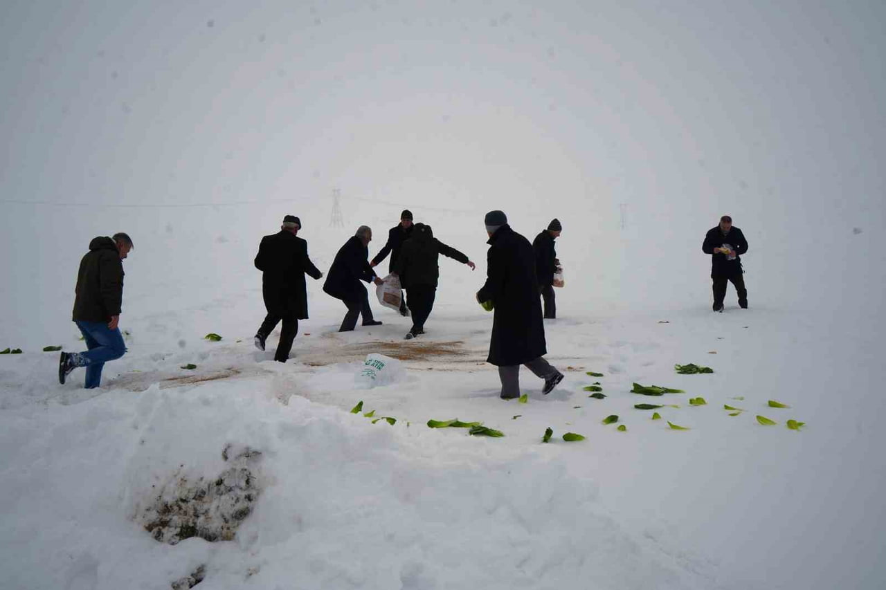 MUŞ’UN KIRKÖY BELDE BELEDİYESİ, YOĞUN KAR YAĞIŞI VE DONDURUCU SOĞUKLAR NEDENİYLE YİYECEK BULMAKTA...