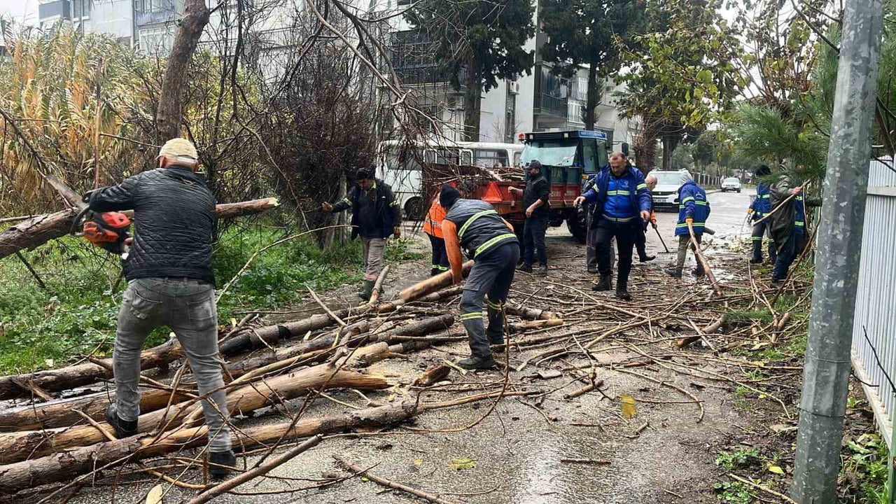 NAZİLLİ BELEDİYESİ PARK VE BAHÇELER MÜDÜRLÜĞÜ EKİPLERİ, İLÇEDE ETKİLİ OLAN YOĞUN YAĞIŞ VE FIRTINA...