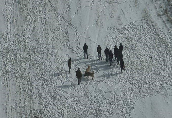 NEVŞEHİR’DE AÇIK ARAZİDE KÖPEK DÖĞÜŞÜ YAPAN ŞAHISLAR ÖNCE JANDARMANIN DRONE KAMERASINA, SONRADA...