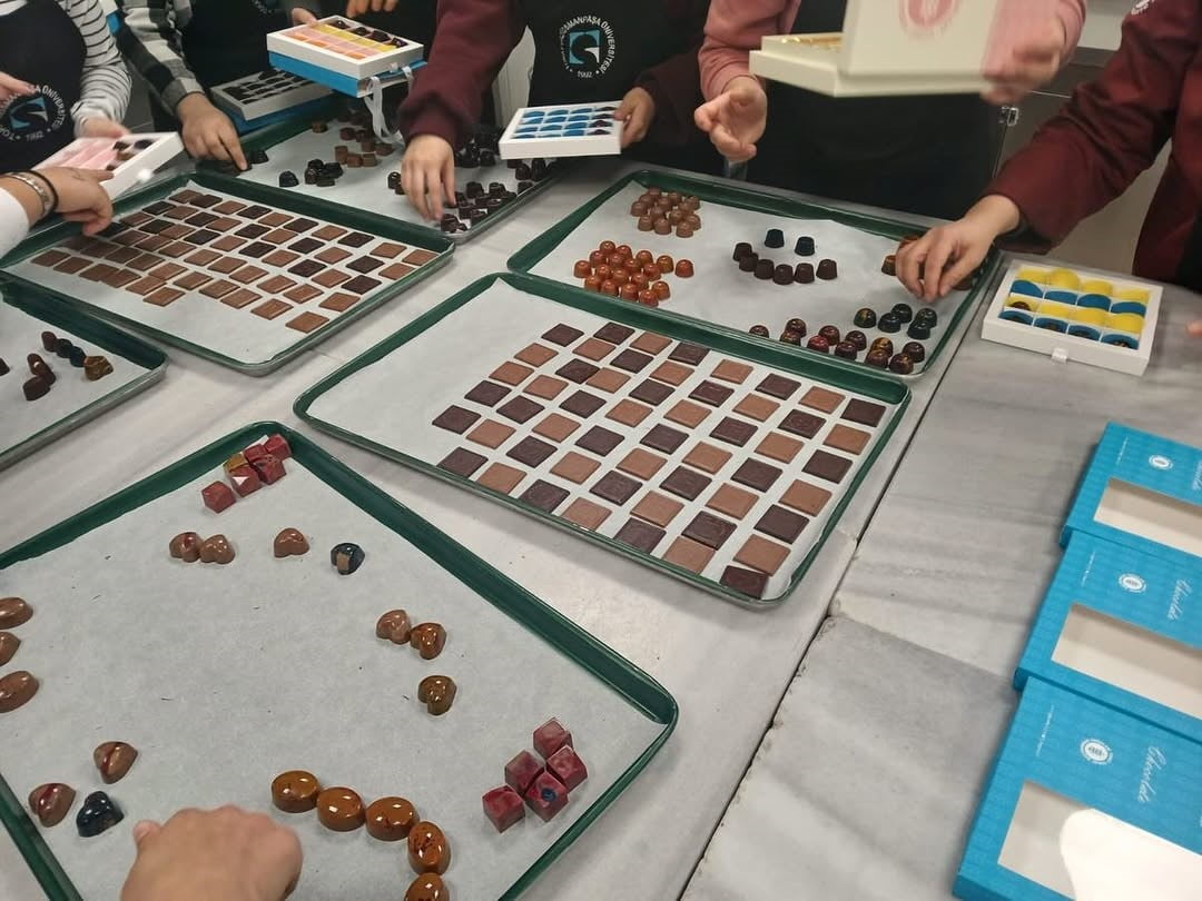 ORTA KARADENİZ KALKINMA AJANSI (OKA) SOSYAL KALKINMA VE GİRİŞİMCİLİK TEKNİK DESTEK PROGRAMI...