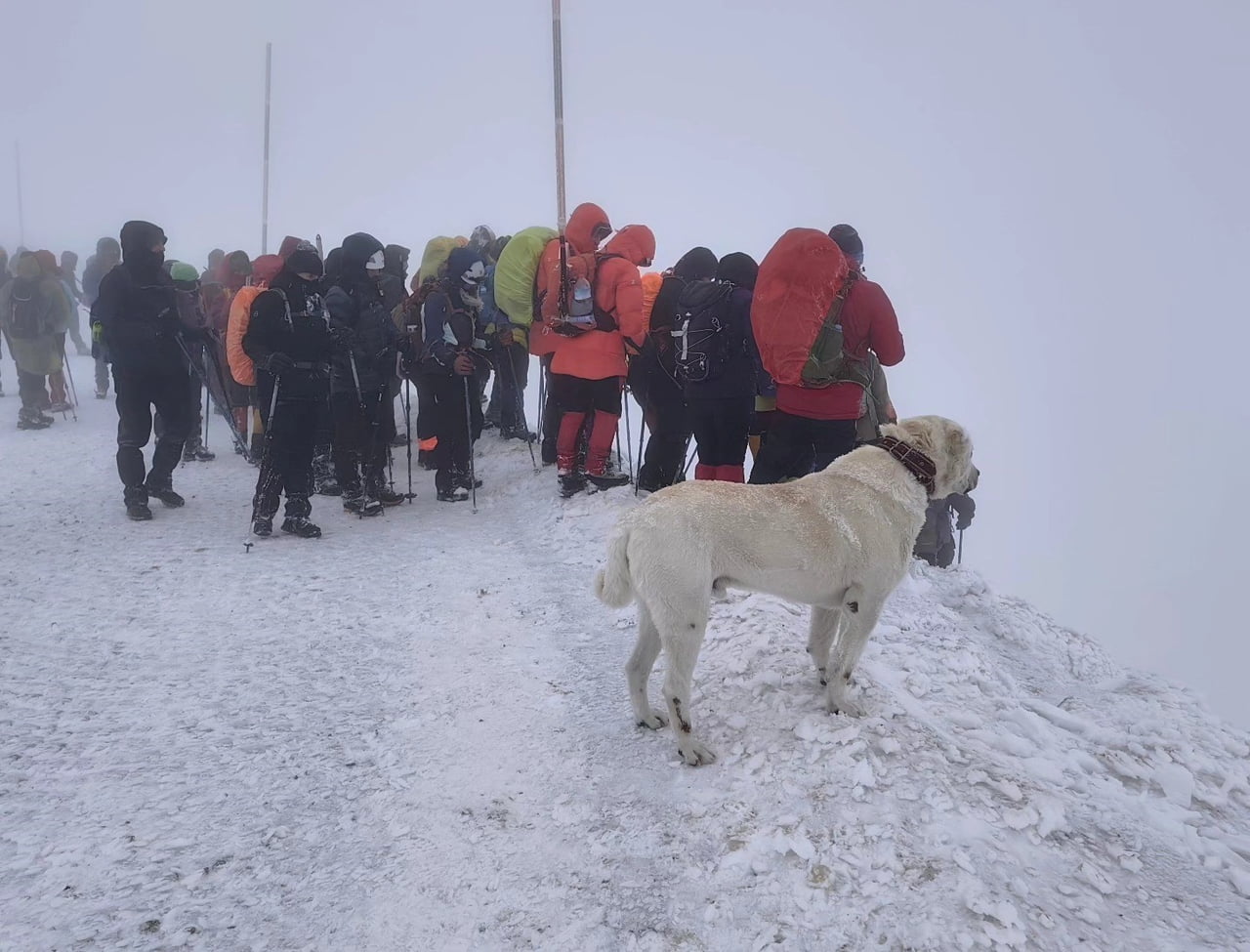 PAMUKKALE ARAMA KURTARMA DERNEĞİ (PAKDOS)  EV SAHİPLİĞİNDE DÜZENLENEN KAZIKBELİ SAVAŞI ANMA...
