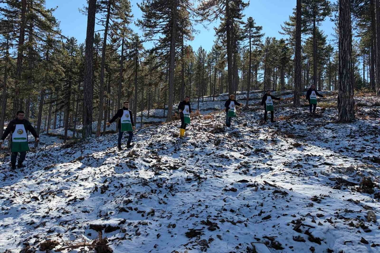 SAİMBEYLİ ORMAN İŞLETME MÜDÜRLÜĞÜ, "KARAÇAM DOĞAL GENÇLEŞTİRME PROGRAMI" KAPSAMINDA, İLÇEDE...