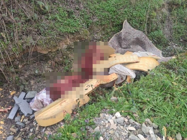 SAKARYA'DA OTOYOL KENARINDAKİ KEMİKLER JANDARMAYI AT KASAPLARINA GÖTÜRDÜ