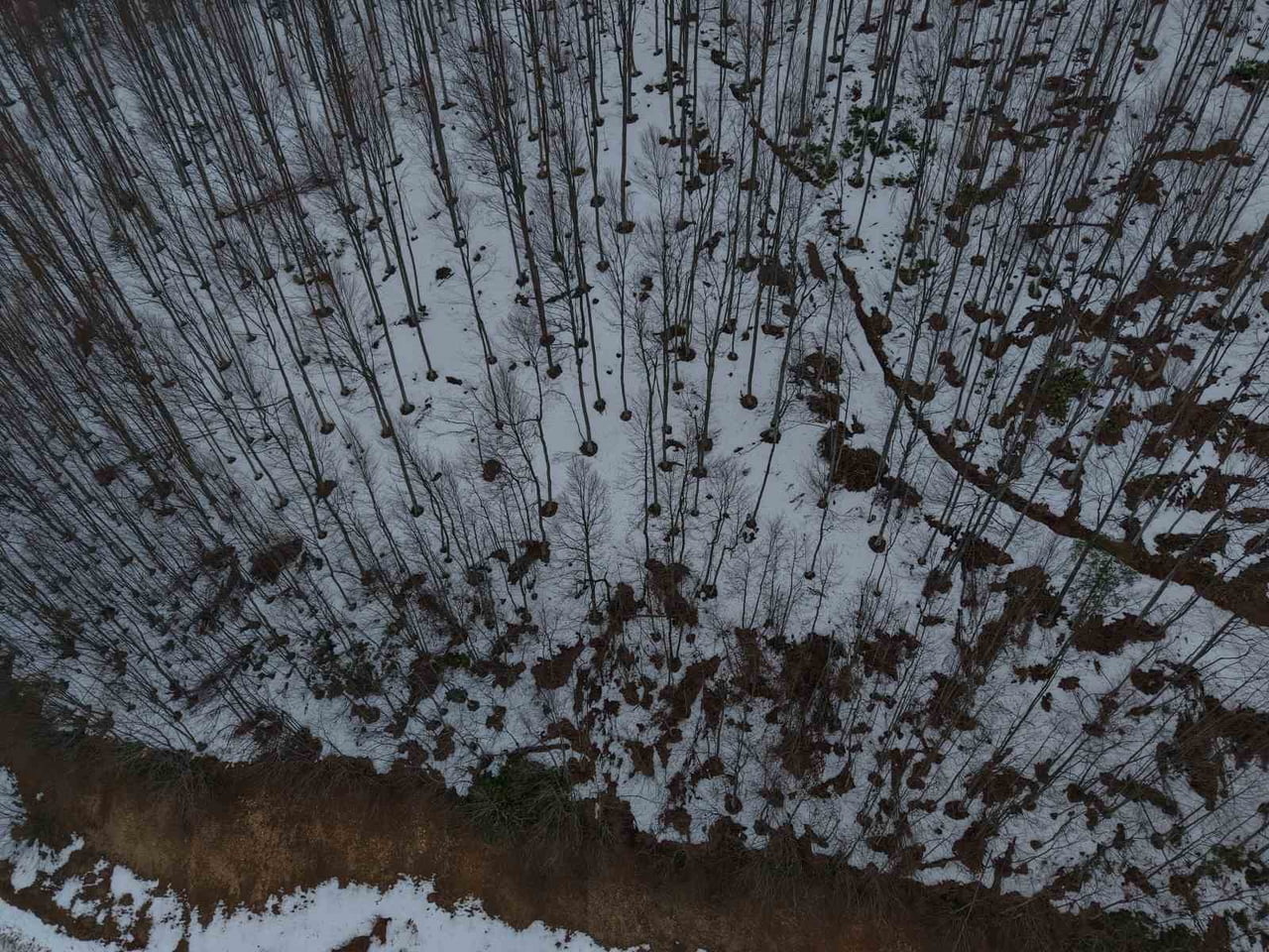SAKARYA’NIN KOCAALİ VE HENDEK İLÇELERİ ARASINDA KALAN VE KARLA KAPLANAN 900 RAKIMLI ÇAM DAĞI’NDAKİ...