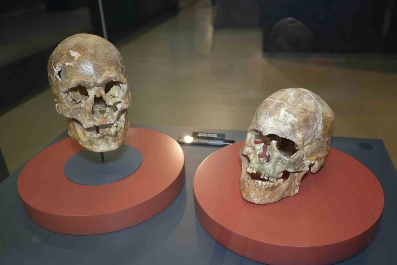 SAMSUN GENELİNDE BULUNAN 10 RESMİ MÜZE, 2025 YILINDA YAKLAŞIK 800 BİN ZİYARETÇİYİ AĞIRLADI....