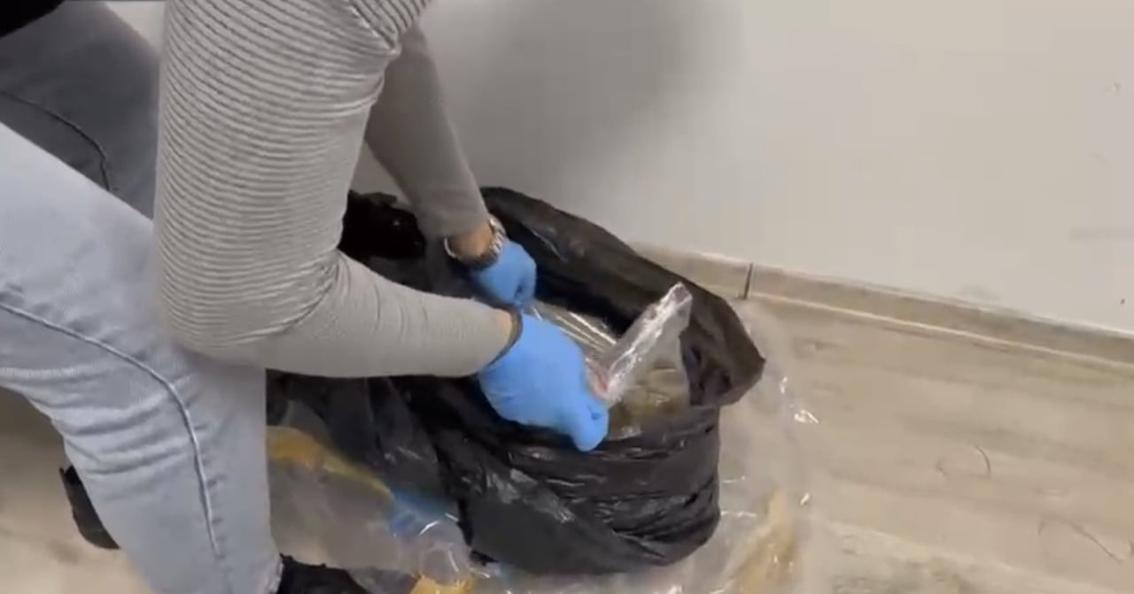 SAMSUN’UN İLKADIM İLÇESİNDE NARKOTİK EKİPLERİNCE DÜZENLENEN UYUŞTURUCU OPERASYONUNDA 2 KİLO SKUNK...