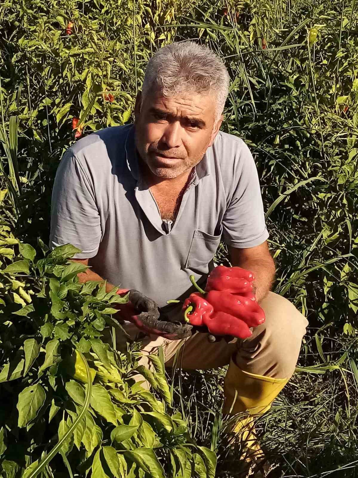 ŞANLIURFA'DA ASANSÖR BOŞLUĞUNA DÜŞEN SERVİS ŞOFÖRÜ ÖLDÜ