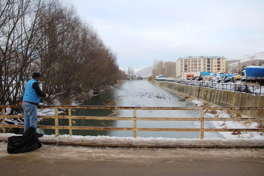 SİBİRYA’DAN GÖÇ EDEN YEŞİLBAŞLI ÖRDEKLER ÇORUH NEHRİ’Nİ MESKEN TUTTU
