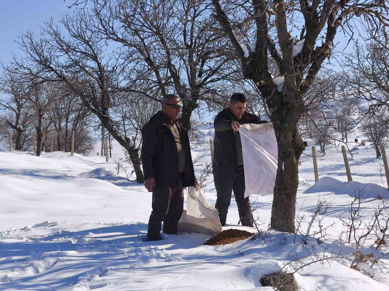SİİRT DOĞA KORUMA VE MİLLİ PARKLAR MÜDÜRLÜĞÜNE BAĞLI ŞEFLİK EKİPLERİ, KIŞ ŞARTLARININ YAŞANDIĞI...