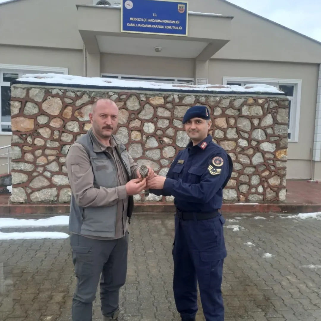 SİNOP’TA JANDARMA EKİPLERİ TARAFINDAN DEVRİYE SIRASINDA YARALI HALDE BULUNAN KUŞ, TEDAVİSİ...