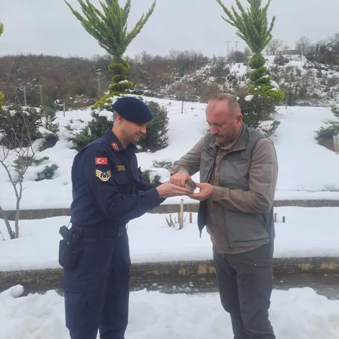 SİNOP’TA JANDARMA EKİPLERİ TARAFINDAN DEVRİYE SIRASINDA YARALI HALDE BULUNAN KUŞ, TEDAVİSİ...