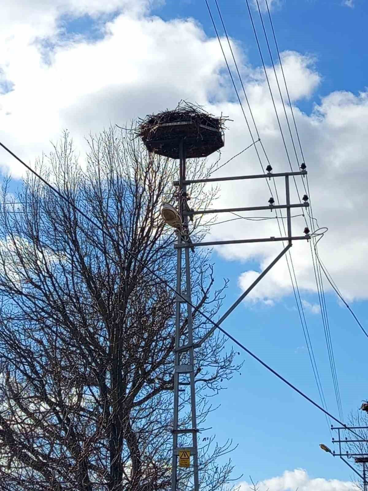 SİNOP’UN SARAYDÜZÜ İLÇESİNDE YÜRÜTÜLEN LEYLEK POPÜLASYONUNA YÖNELİK BİLİMSEL PROJE KAPSAMINDA...