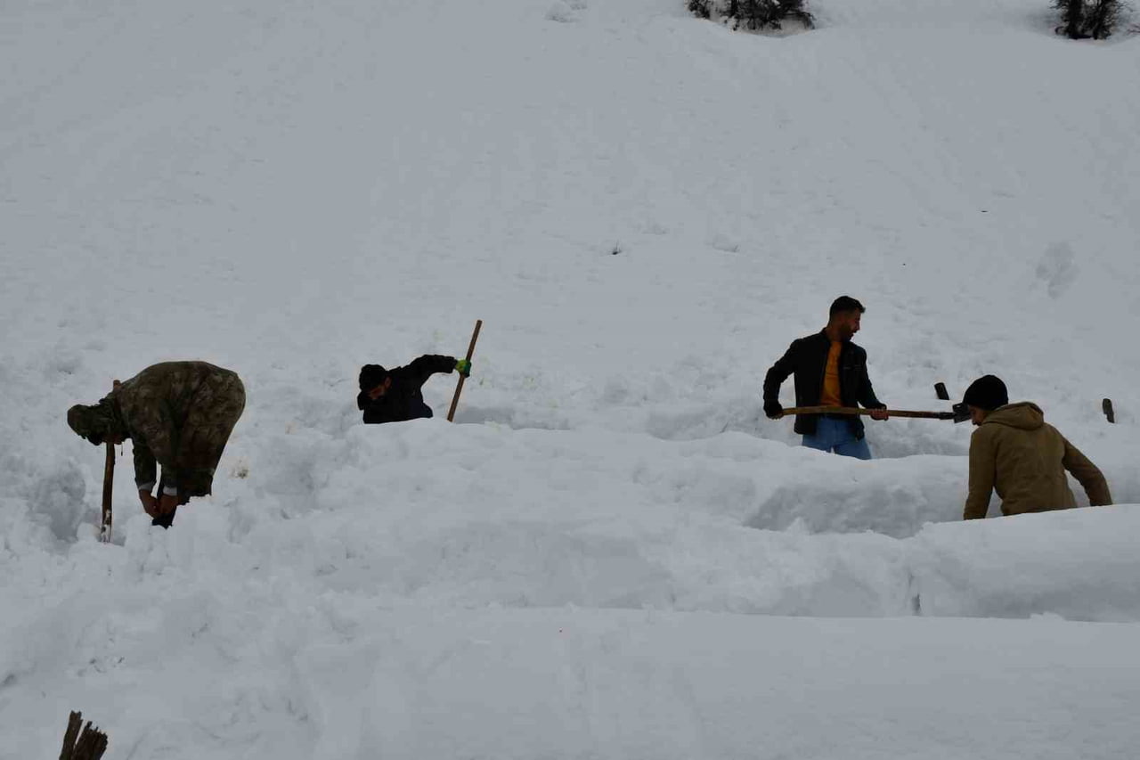 ŞIRNAK'IN BEYTÜŞŞEBAP İLÇESİNDE ÇIĞ ALTINDA KALAN BAL ARILARI, SAHİBİ VE KÖYLÜLER TARAFINDAN...