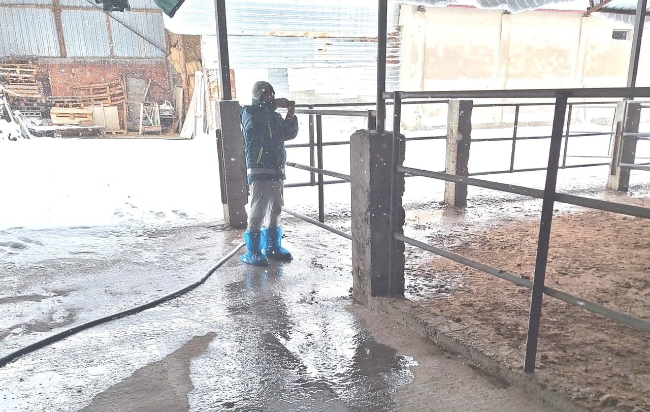 TAVŞANLI’DA HAYVANCILIK İŞLETMELERİNE YÖNELİK BESİLİK HAYVAN KAPASİTE TESPİT ÇALIŞMASI