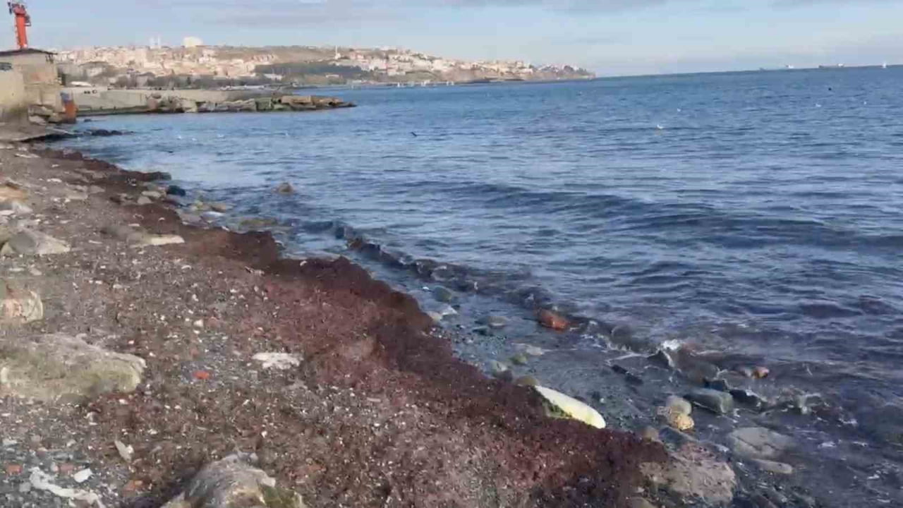 TEKİRDAĞ'IN SÜLEYMANPAŞA İLÇESİNDE 3 GÜNDÜR ARALIKLARLA ETKİSİNİ SÜRDÜREN KUVVETLİ LODOS, SAHİLİN...