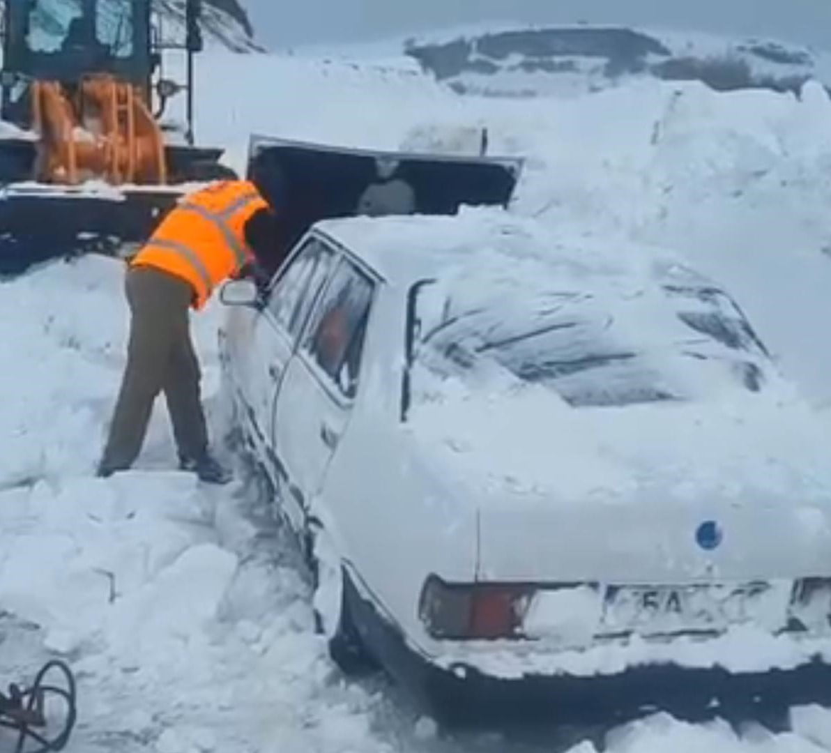 TOKAT’IN NİKSAR İLÇESİNDE YAŞAYAN VE HAYVANLARA YEM BIRAKMAK İÇİN ORDU PERŞEMBE YAYLASI’NA ÇIKAN...