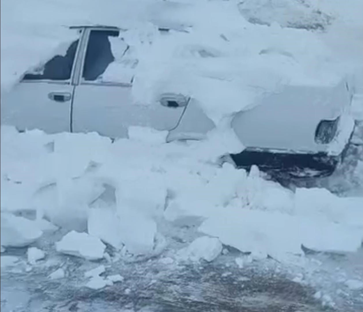 TOKAT’IN NİKSAR İLÇESİNDE YAŞAYAN VE HAYVANLARA YEM BIRAKMAK İÇİN ORDU PERŞEMBE YAYLASI’NA ÇIKAN...