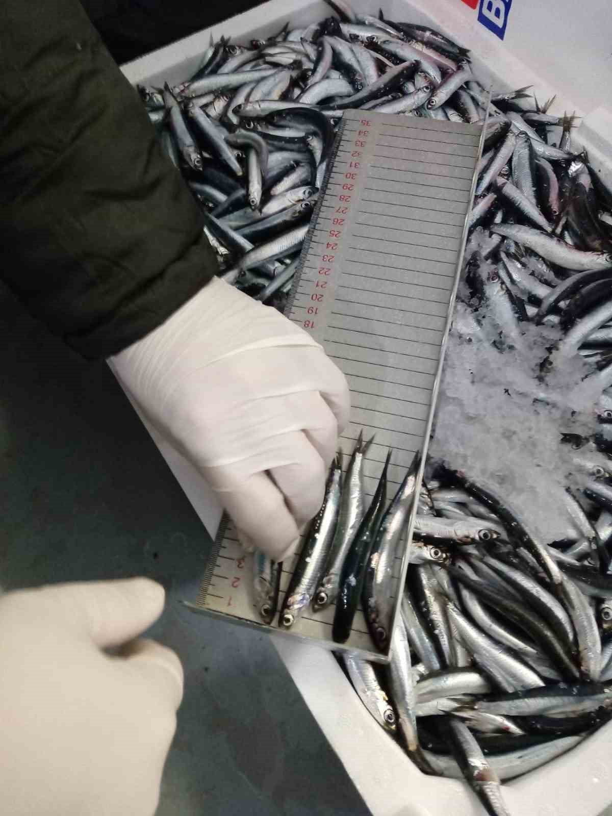 TRABZON İL TARIM VE ORMAN MÜDÜRLÜĞÜ BALIKÇILIK VE SU ÜRÜNLERİ ŞUBE MÜDÜRLÜĞÜ EKİPLERİNCE; YIL...