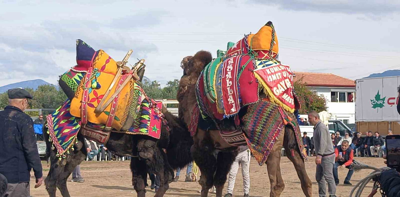 ÜLKE GENELİNDE YAŞANAN ŞAP HASTALIĞI NEDENİYLE ŞEHİRLERARASI HAYVAN TAŞIMACILIĞININ TARIM VE ORMAN...