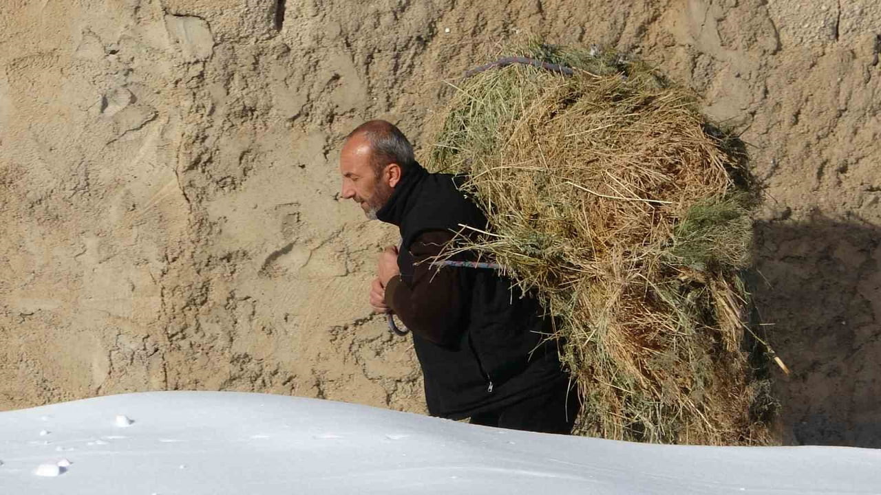 VAN'IN ÇATAK İLÇESİNDE VATANDAŞLAR, KAR YAĞIŞI VE SOĞUK HAVA NEDENİYLE MERAYA ÇIKARAMADIKLARI...