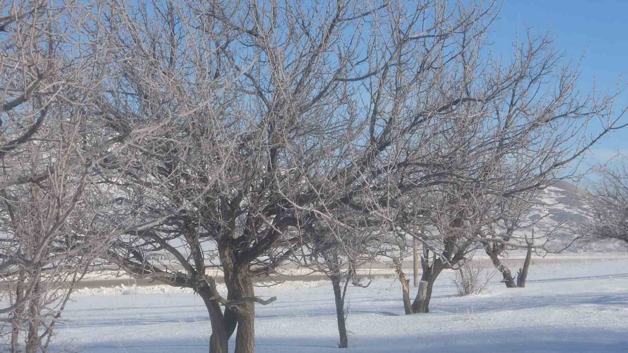 VAN’DA ETKİSİNİ ARTIRAN DONDURUCU SOĞUKLAR, TABİATI ADETA BEYAZ BİR ÖRTÜYLE SÜSLERKEN, GECE HAVA...