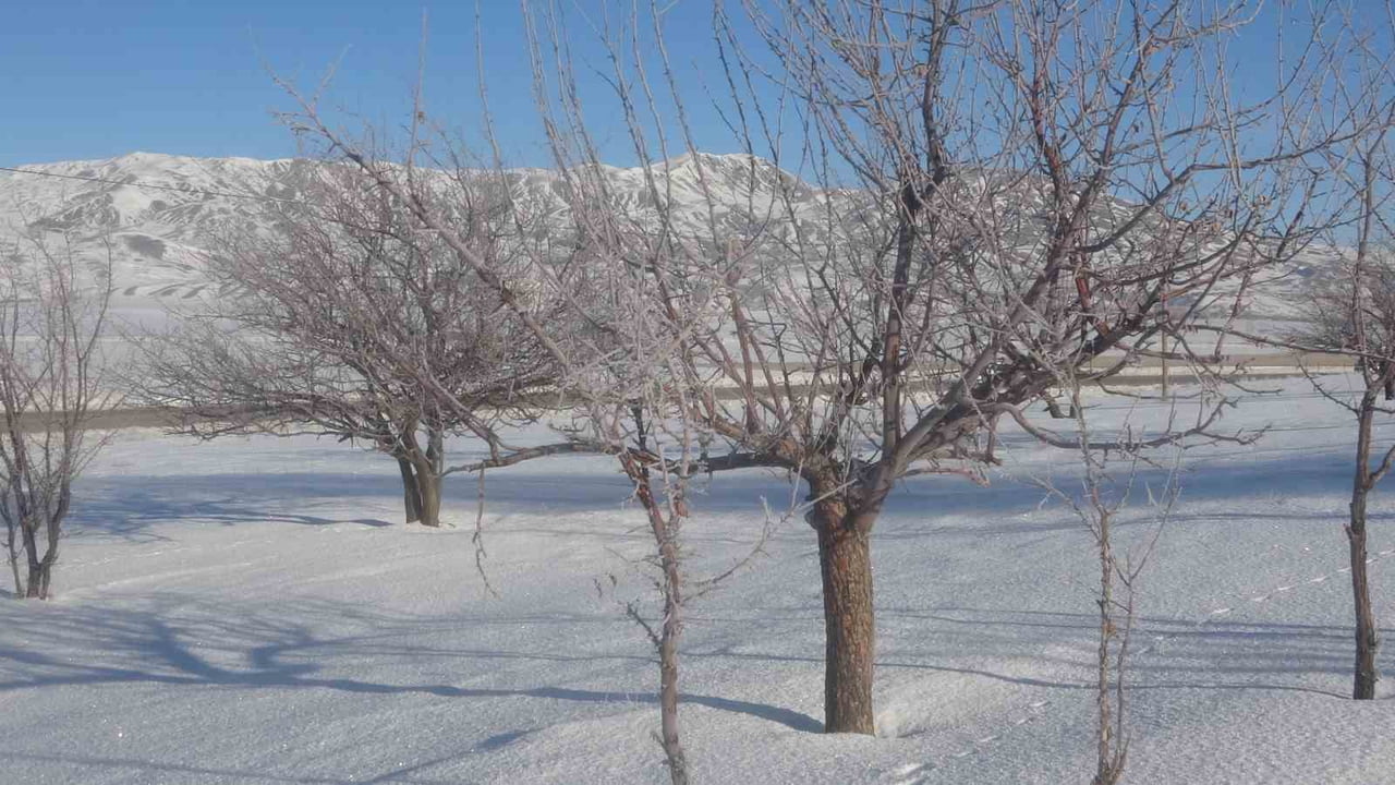 VAN’DA ETKİSİNİ ARTIRAN DONDURUCU SOĞUKLAR, TABİATI ADETA BEYAZ BİR ÖRTÜYLE SÜSLERKEN, GECE HAVA...