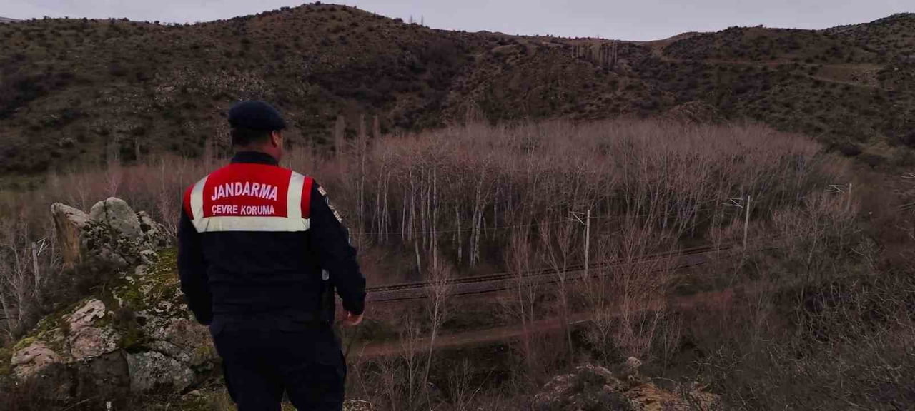 YOZGAT’TA JANDARMA EKİPLERİ YABAN HAYVANLARI İÇİN DOĞAYA YEM BIRAKTI.-