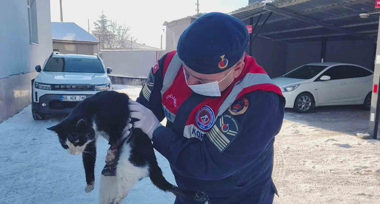 YOZGAT’TA MOTOR İÇİNE SIKIŞAN BACAĞI KOPMAK ÜZERE OLAN KEDİNİN İMDADINA HAYDİ EKİPLERİ...